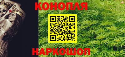 шишки Новокубанск