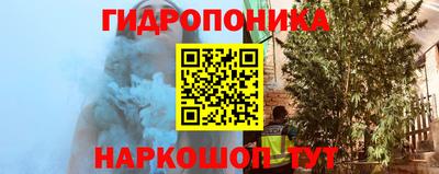 шишки Новокубанск