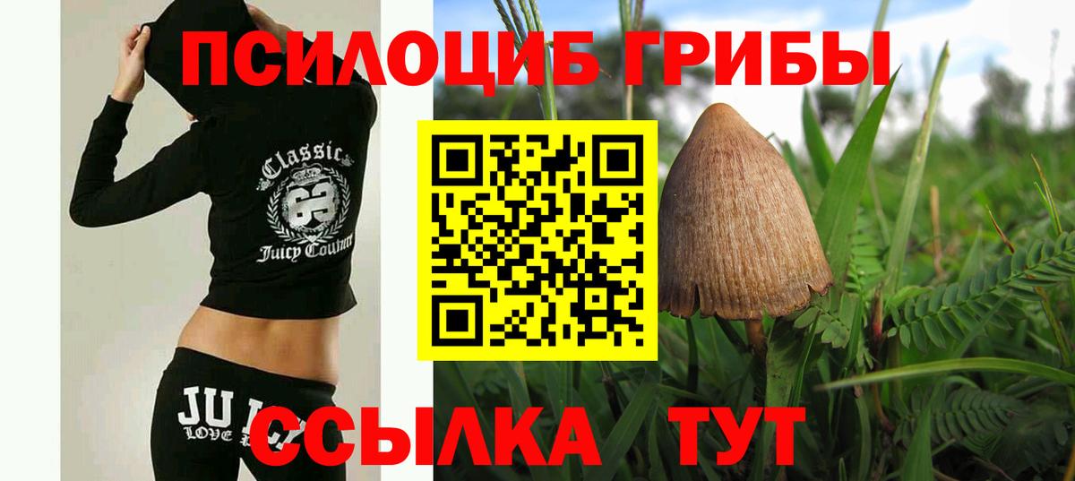 Псилоцибиновые грибы Magic Shrooms  Псилоцибиновые грибы мицелий  Энгельс  Вход с VPN 